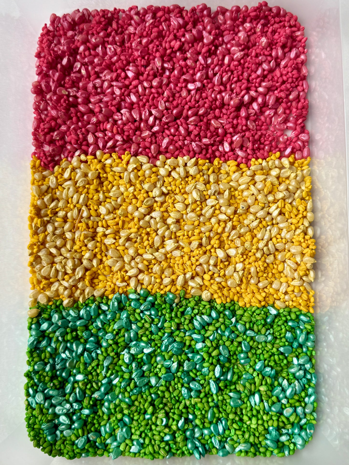 šSpeed Racerš