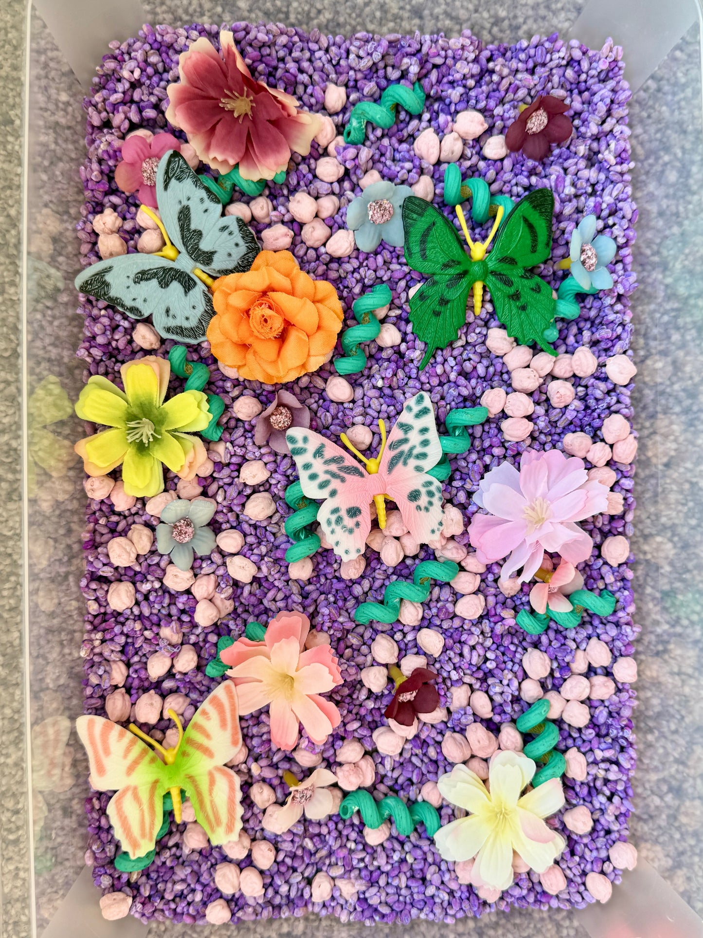 Butterfly Garden